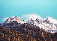 鲍尔22+7+5布莱克24分 黄蜂客场战胜魔术